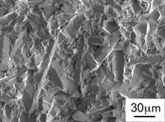 開発した高熱伝導率窒化ケイ素の破断面の電子顕微鏡写真